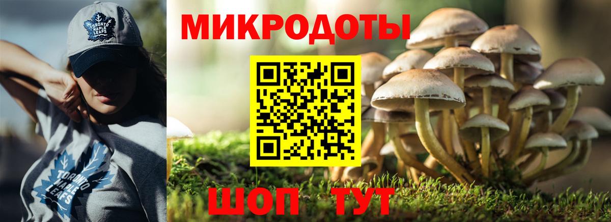 Галлюциногенные грибы Cubensis Богданович