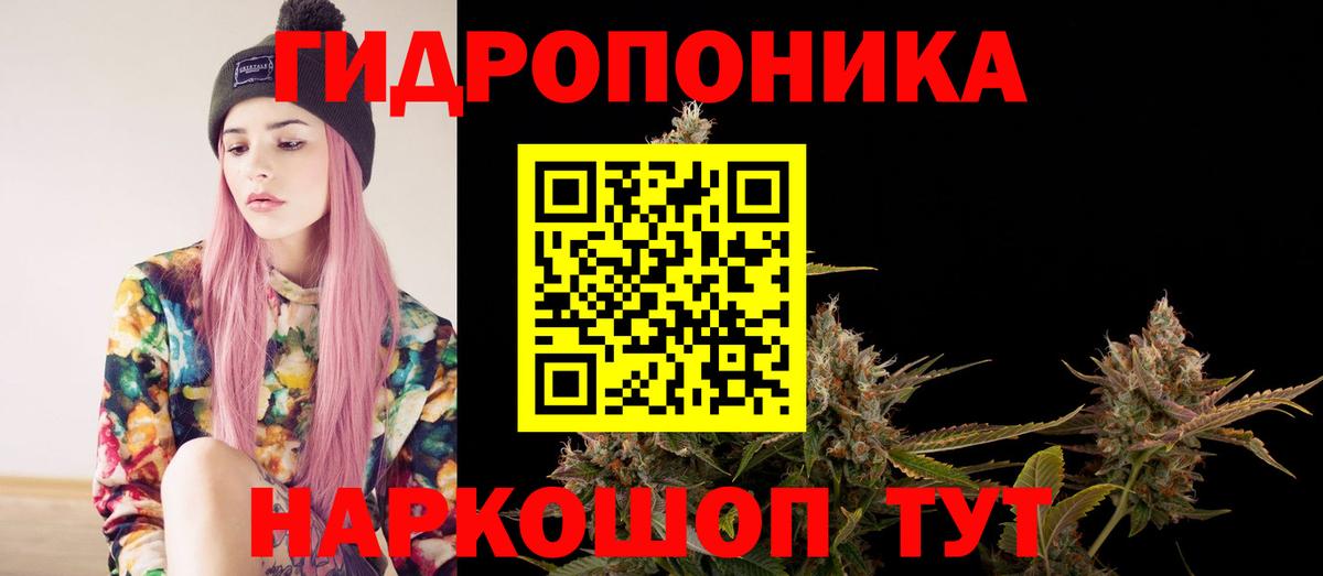 Канабис план Богданович